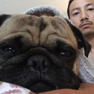 Meet your Posher, Bernard